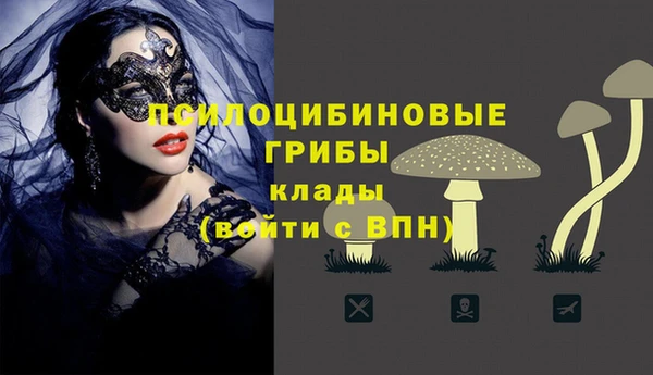 дурь Арсеньев