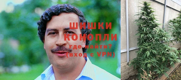 дурь Арсеньев