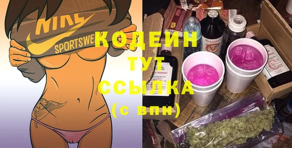 твердый Пересвет