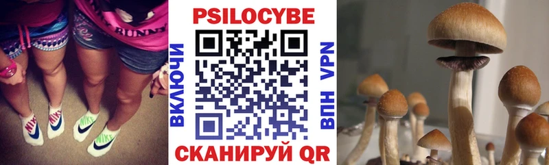 Псилоцибиновые грибы мухоморы  Чёрмоз 